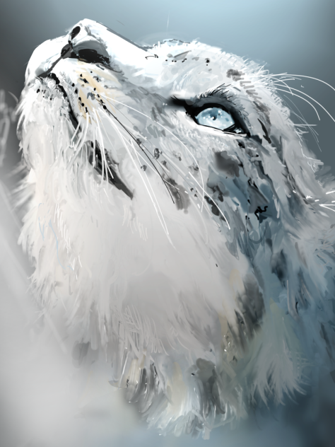 雪豹