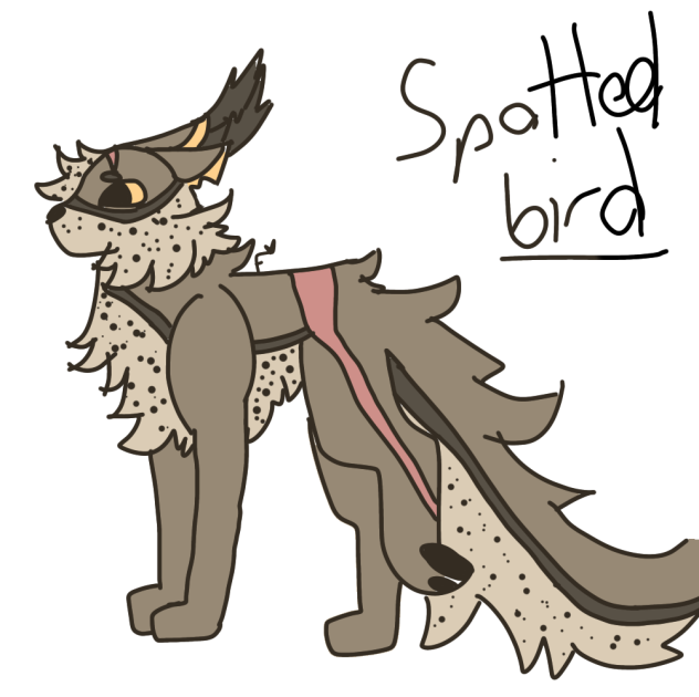 Spotted bird