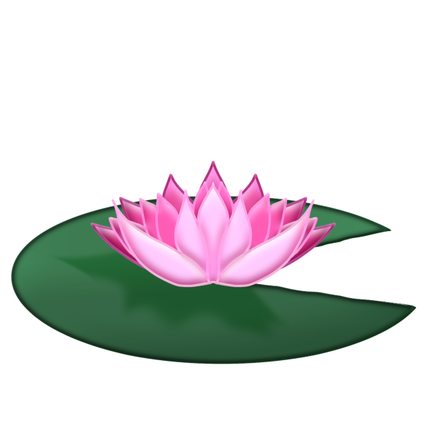 Lily pad