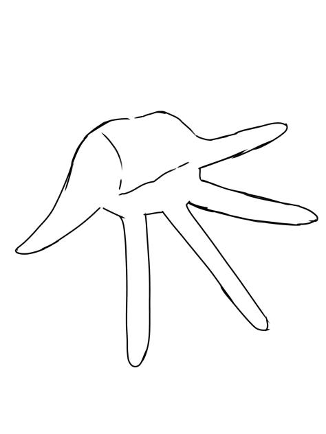 手の素材