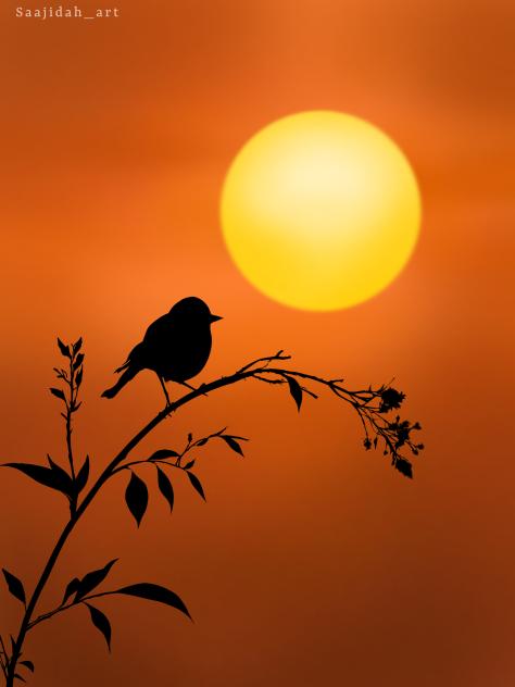 🌇🌄