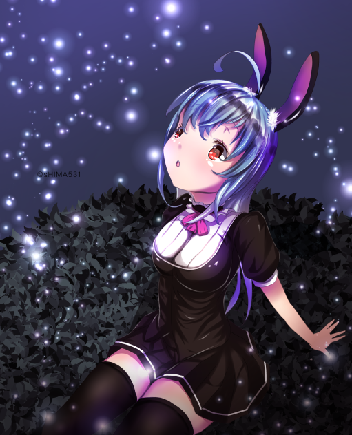 Bunny
