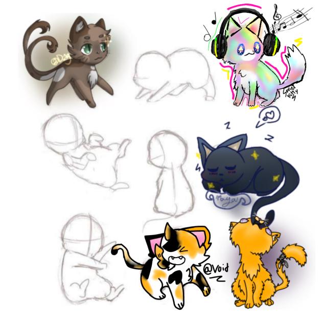 Cat collab