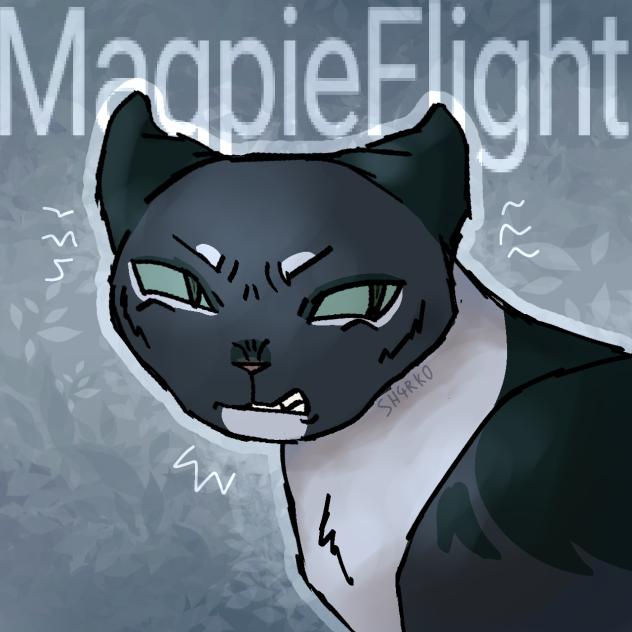 Warrior cats oc MagpieFlight