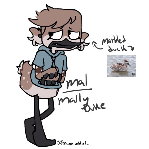 Random DT oc