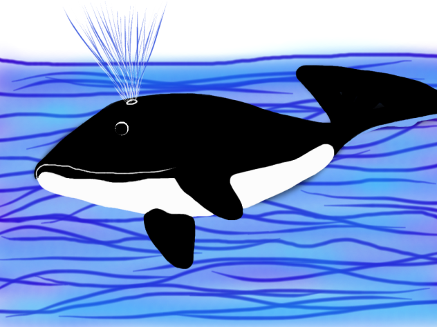 Whale
