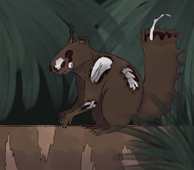 Squirrel ^^