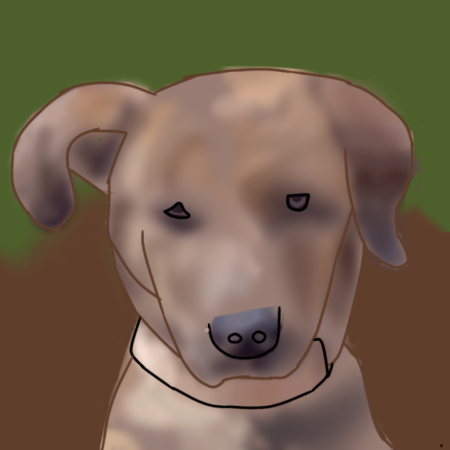 part 6 of making animals