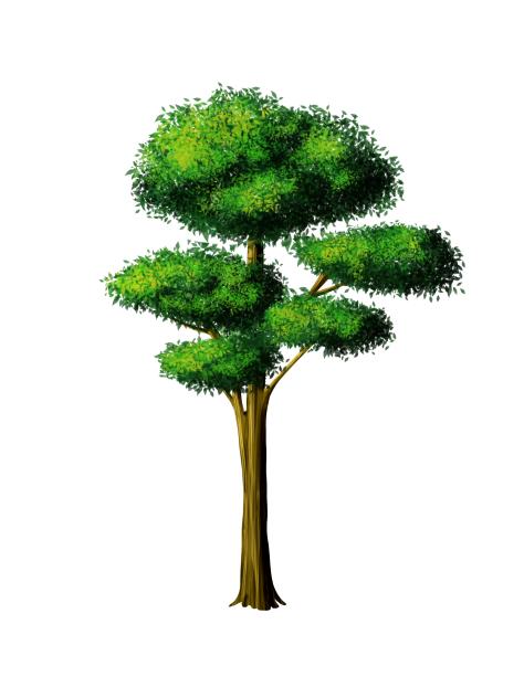 Tree 1