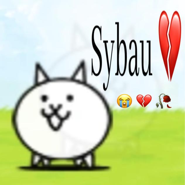 sybau but its basic cat