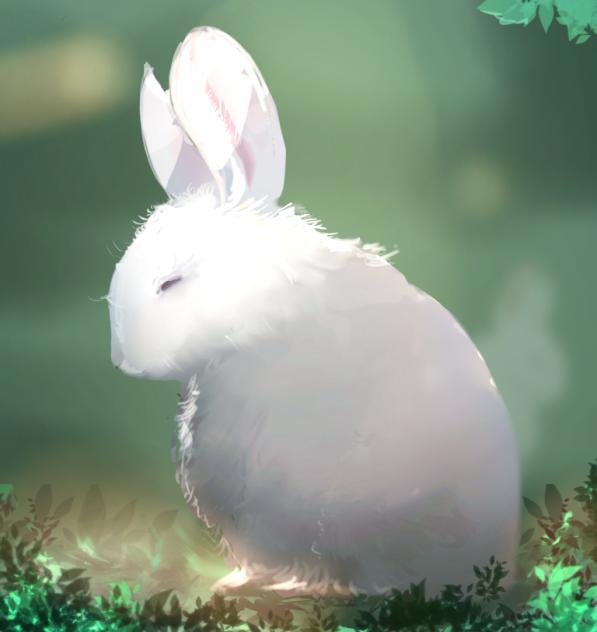 🐇