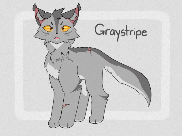 🩶Graystripe🩶