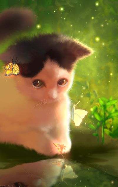 Cat