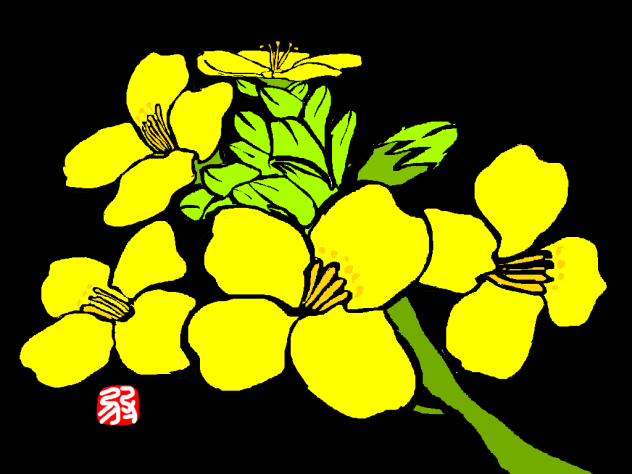 一絵ibispaint投なわキリ絵ー菜の花