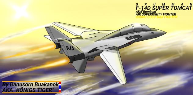 F-14D SUPER TOMCAT