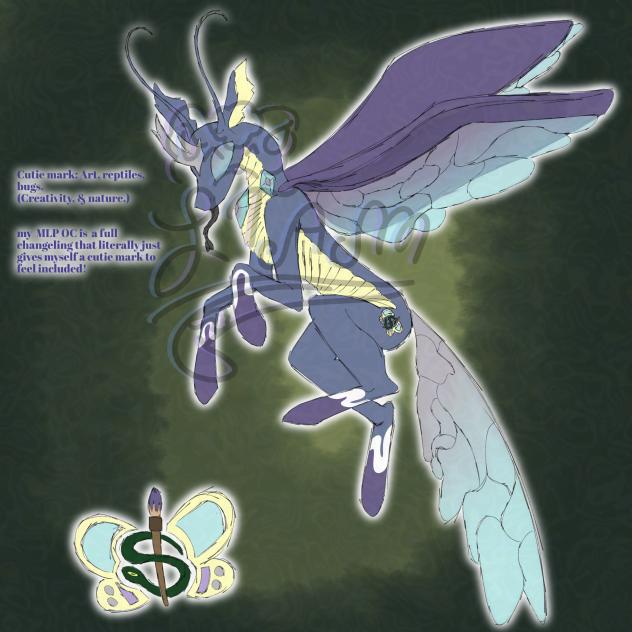 MLP