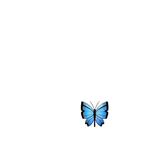 butterfly - ibisPaint