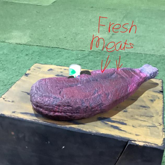 AH FRESH MEATS 🥩 =3