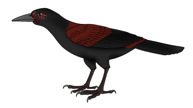 Wicked Tīeke2