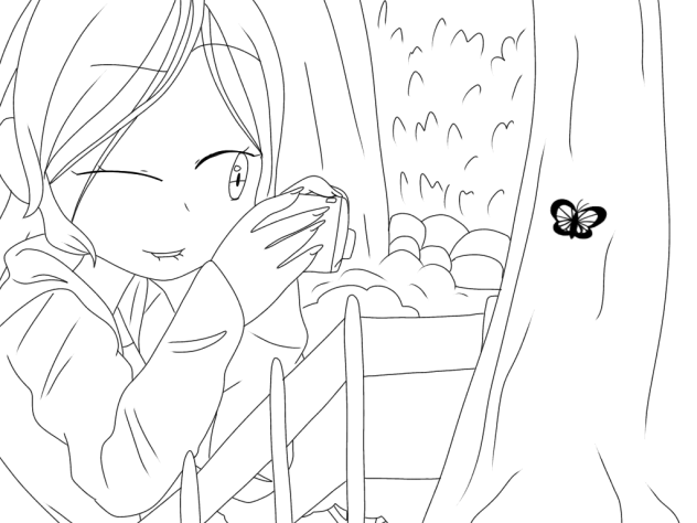 Photo of a butterfly