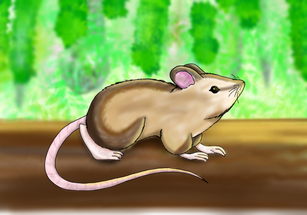 Mouse in a jungle 🐁