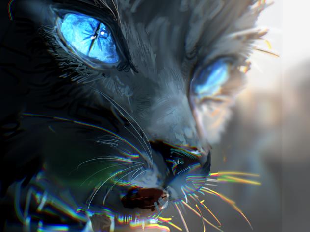 blue eyes 2