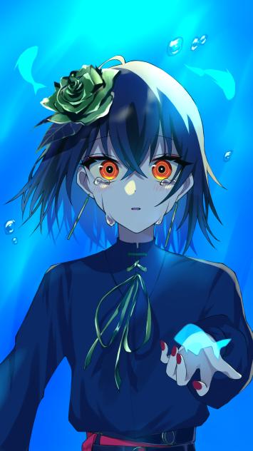 °∵○🐟✩°｡⋆ﾟ