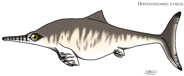 Ophthalmosaurus icenicus