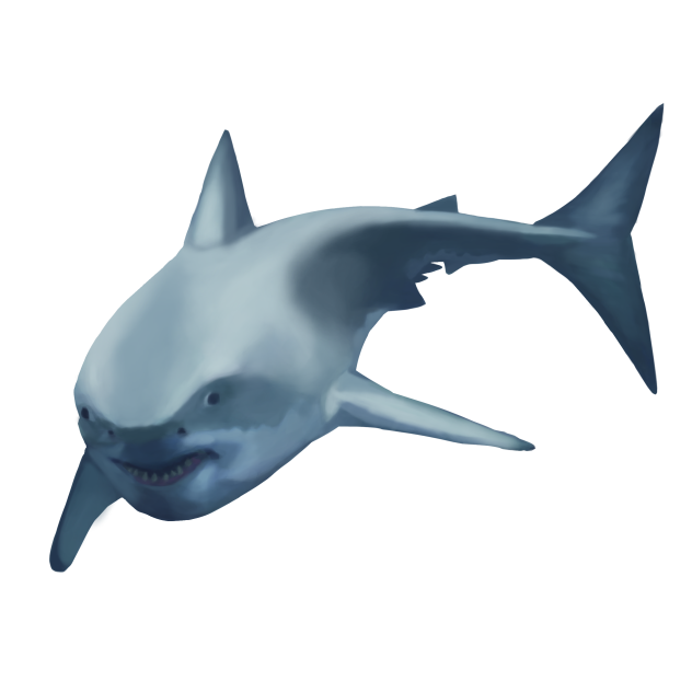 Shark