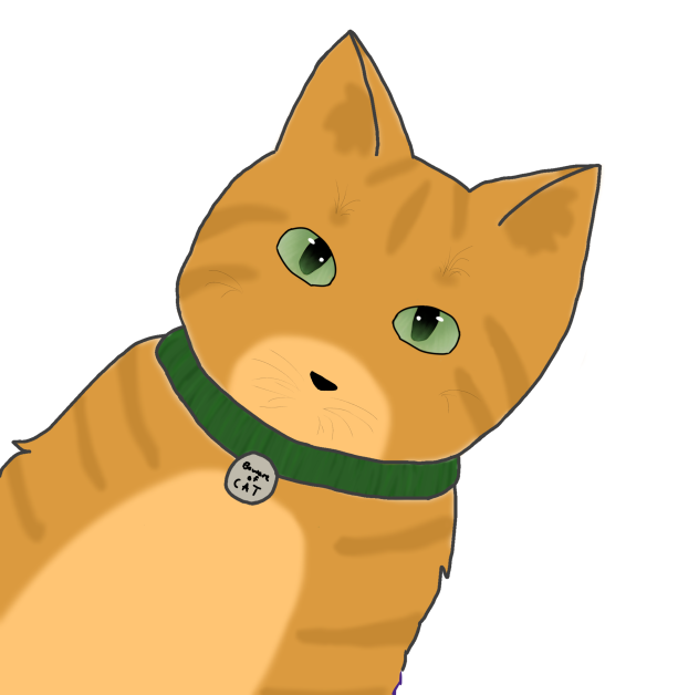 Beware the cat