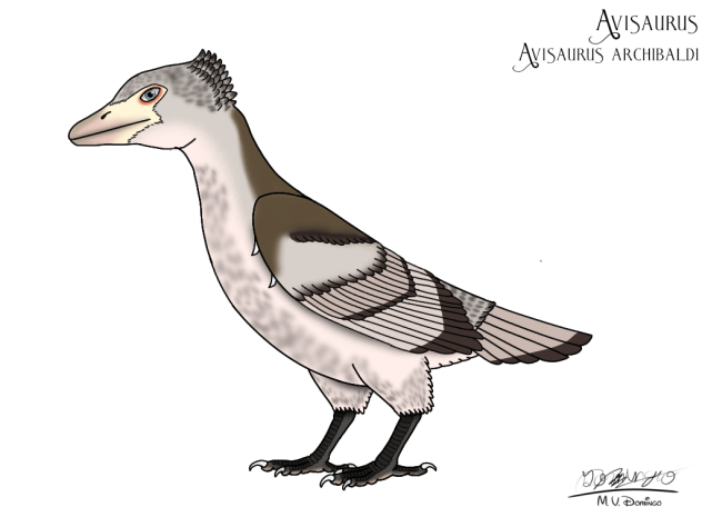 Avisaurus archibaldi