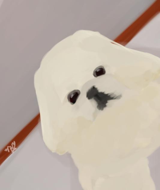 ペキニーズ