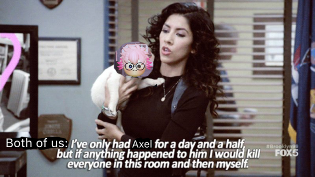 Me and my friend @SuperNova YT be like