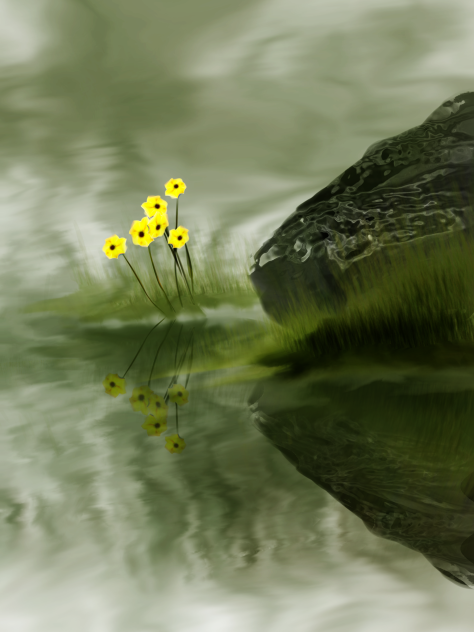Yellow flower in the lake