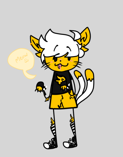 meoowww 🐈‍⬛