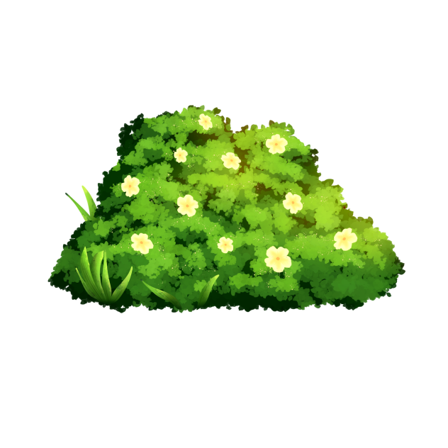 Flower Bush 2