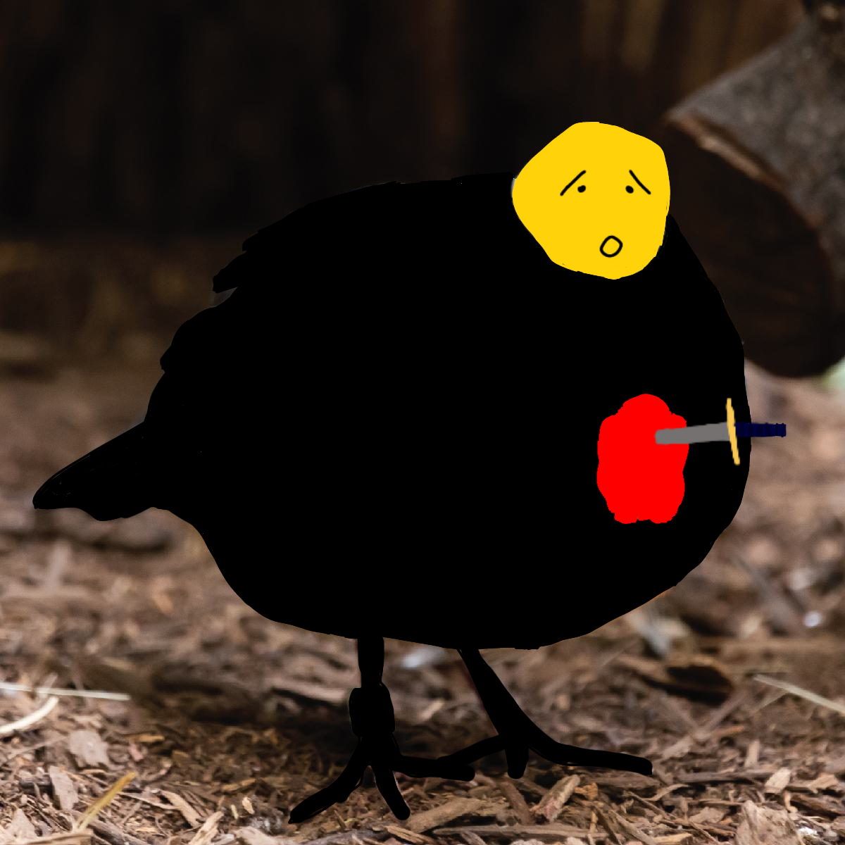 MeBird - ibisPaint