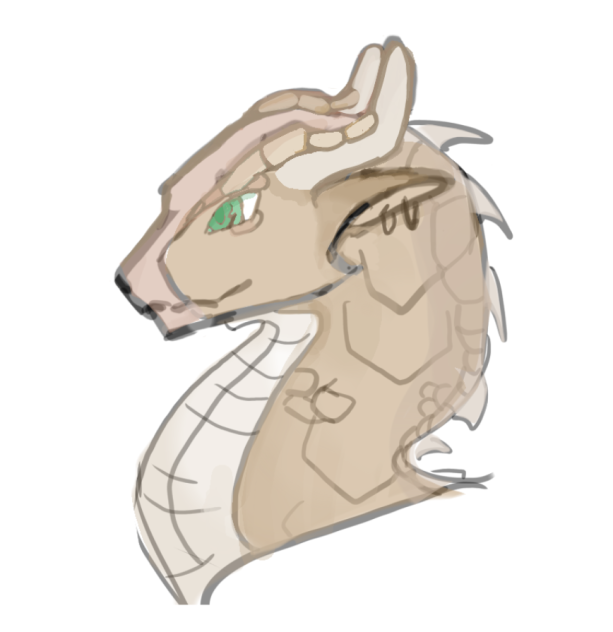 Worm a mudwing sketch for my friend