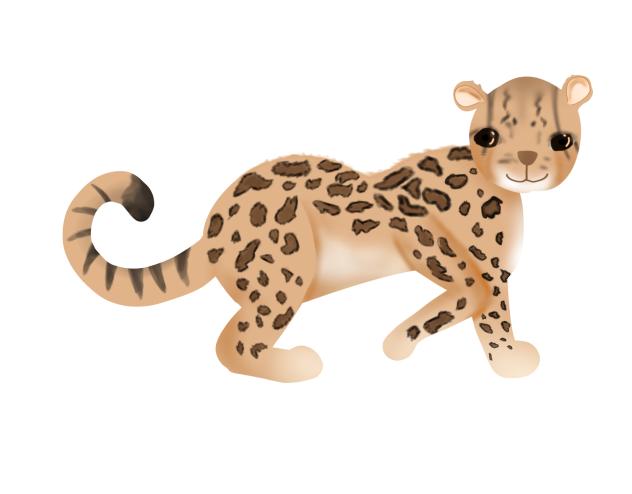 Margay cat