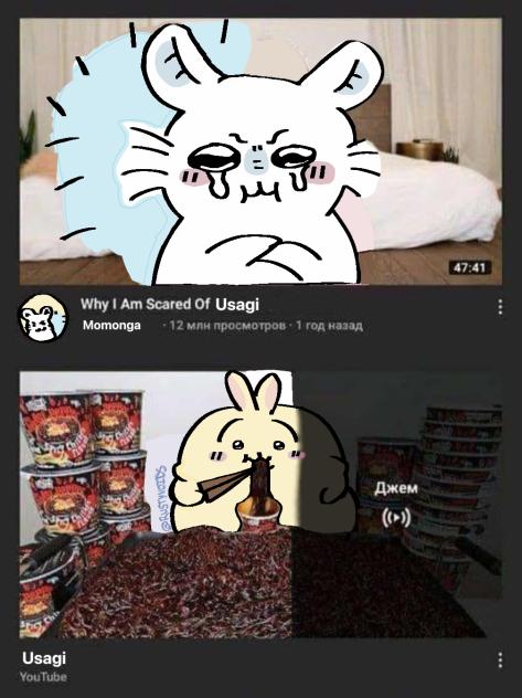 Why Momonga is scared of Usagi