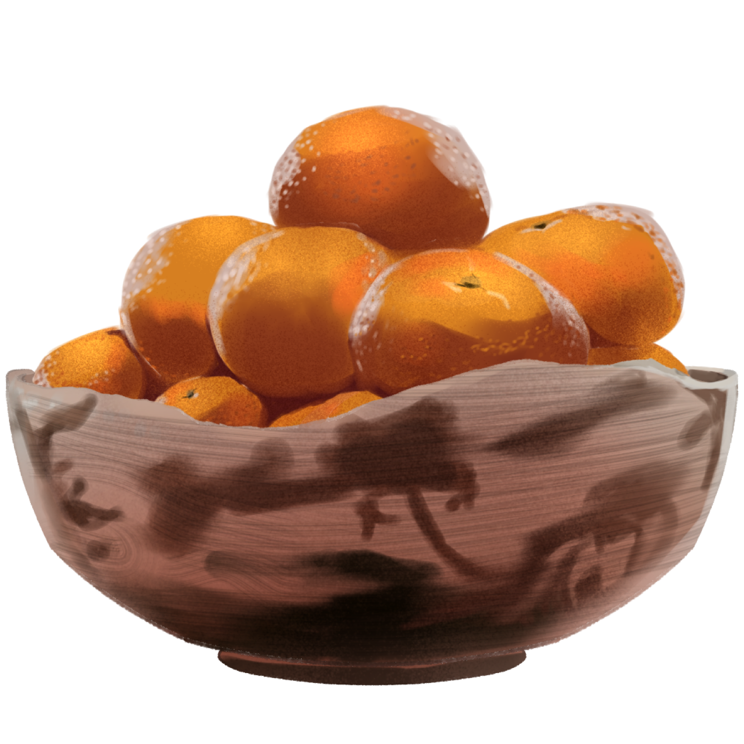 Mandarin Oranges ibisPaint