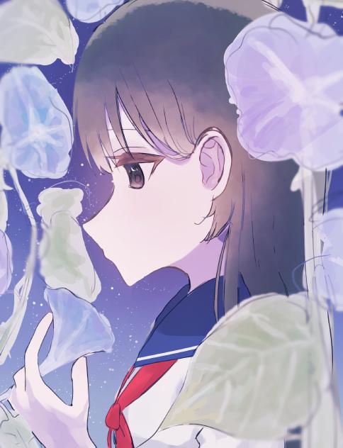 夜に咲く朝顔