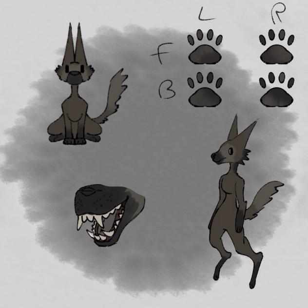 Maned wolf