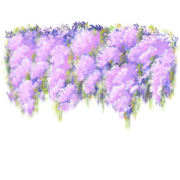 wall plant practicing