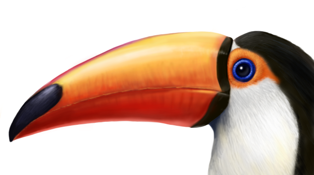 オニオオハシ(Toco Toucan)