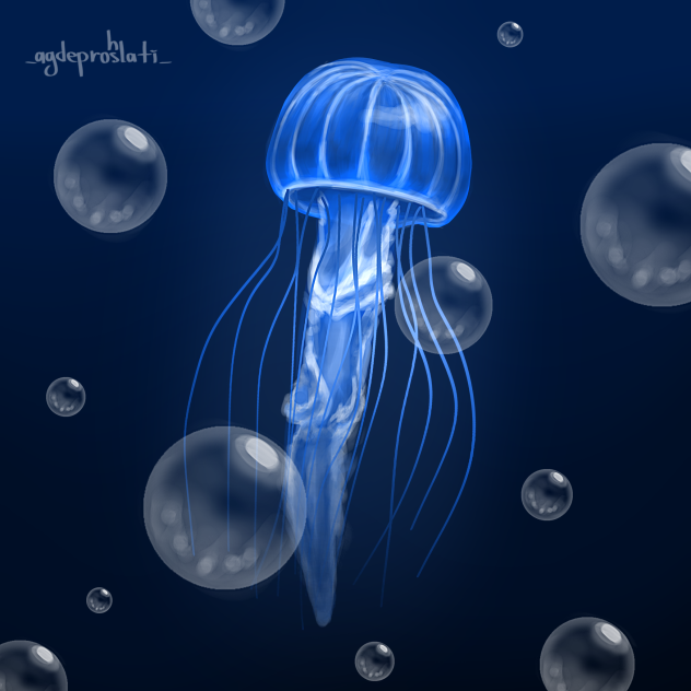 Jellyfish - ibisPaint
