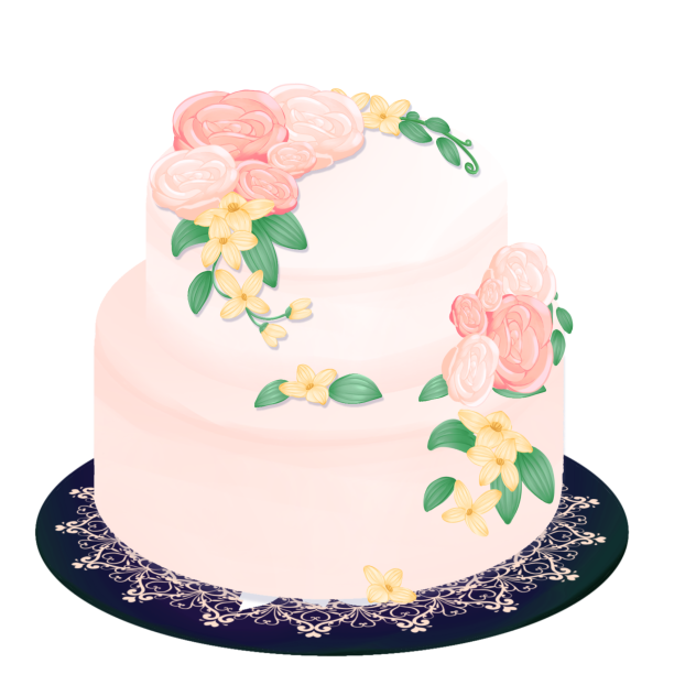 IBM3004 cake b 2