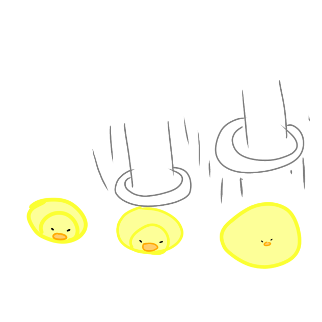 🐤