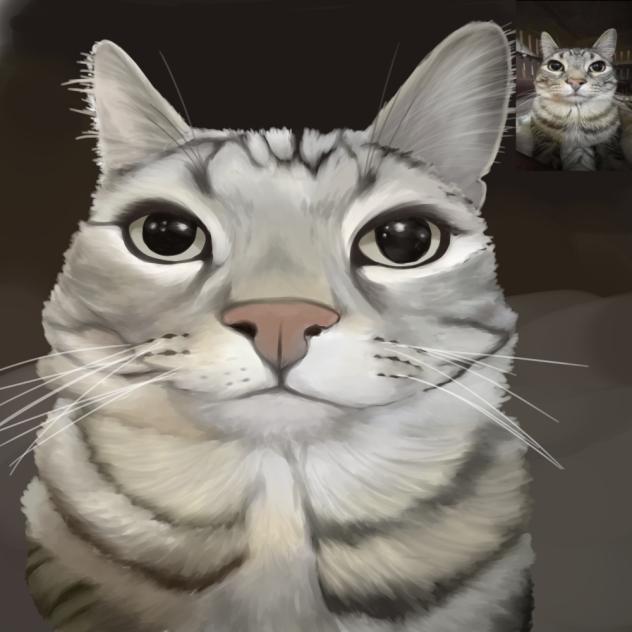 cat