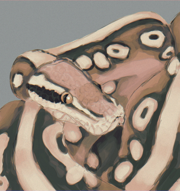 SNAKE✨✨